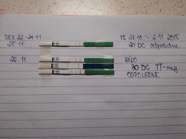 Ovulace u nepravidelného cyklu, proběhla?