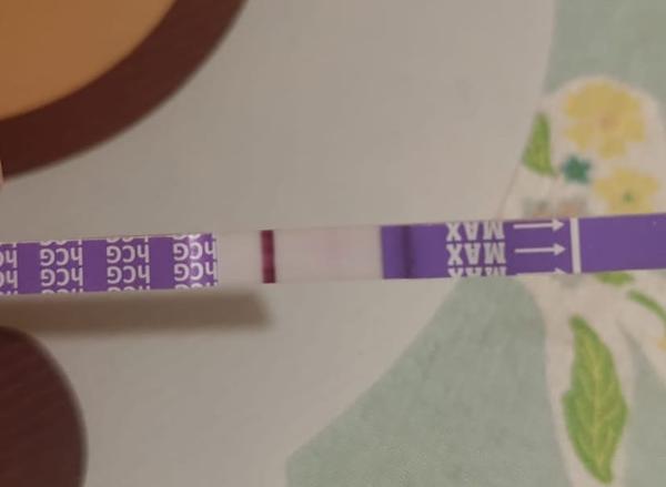 Vysadit Azalii při pozitivním těhotenském testu? Co dělat?