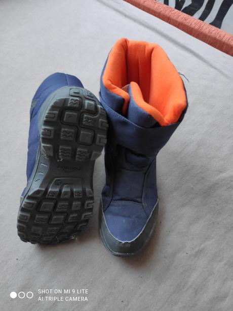 Sněhule, quechua,38