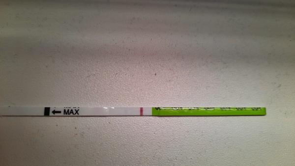 Je pozitivní duch na těhotenském testu Pepino 20. den cyklu?