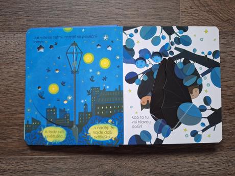 Co se děje v noci - knížka pro děti, svojtka, 