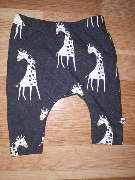 Legíny se žirafou next vel. 62, next,62