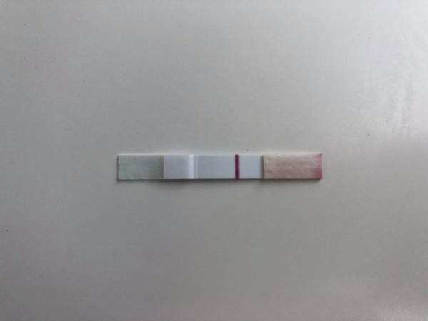 Duch nebo mam halucinace. Vidíte tam něco?