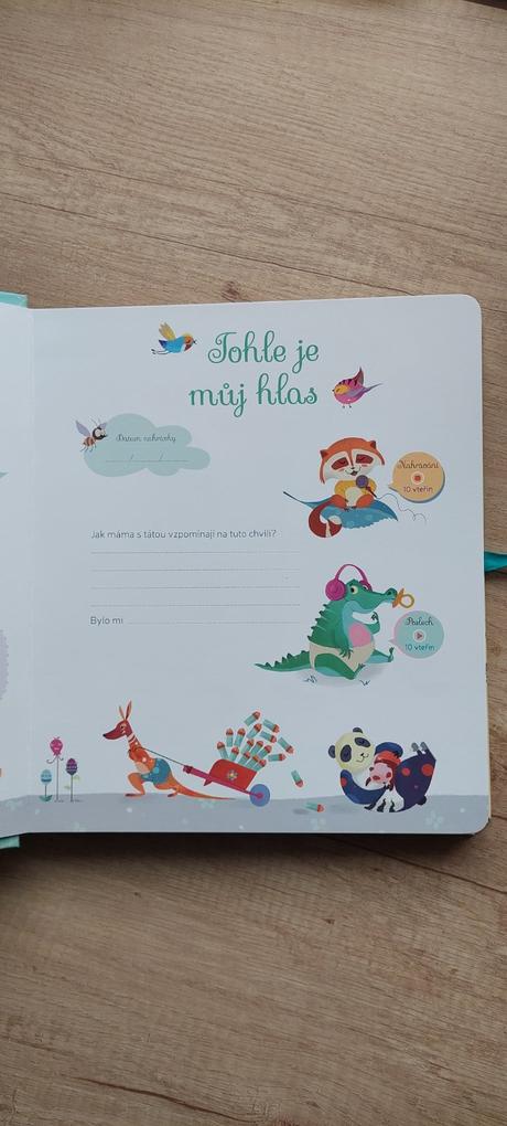 Dětské nahrávací album, 