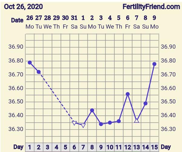 Nízká (předovulační) BTT a pozitivní těhotenský test. Někdo stejně?