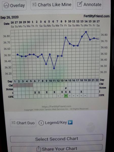 Fertility friend. Co znamená trojúhelník?