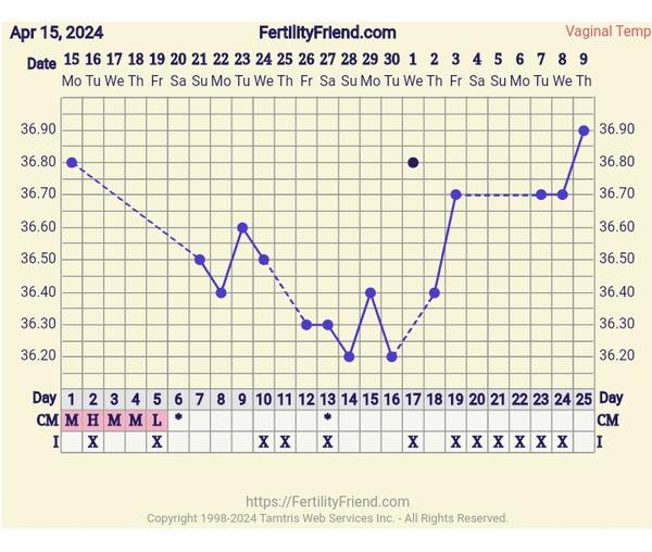 Kdy mohla být ovulace během stěhování?
