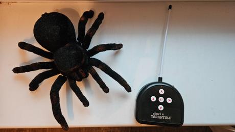 Pavouk na dálkové ovládání, 