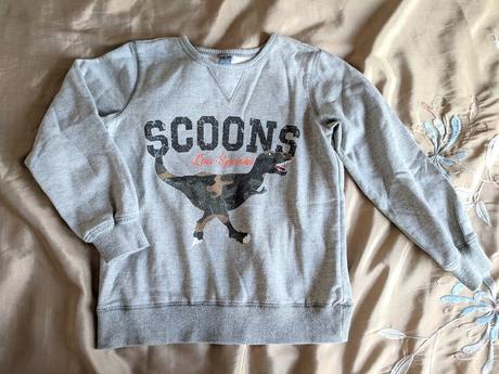 Mikina s dinosaurem, dopodopo,122