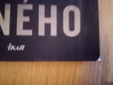 Kniha dcera někoho jiného, 