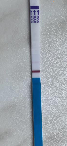 Jsem nebo nejsem těhotná?