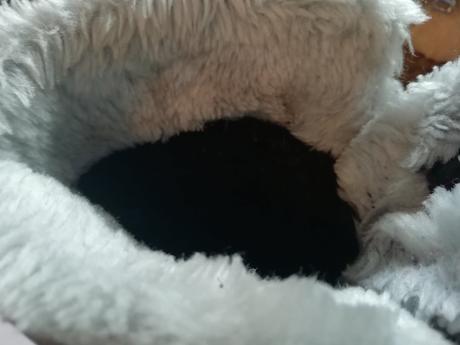 Špičkové boty do čvachty s membránou vel 30. pekny, 30