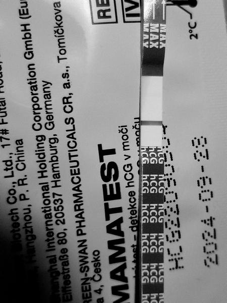 Pozitivní těhotenský test po týdnu od negativního?