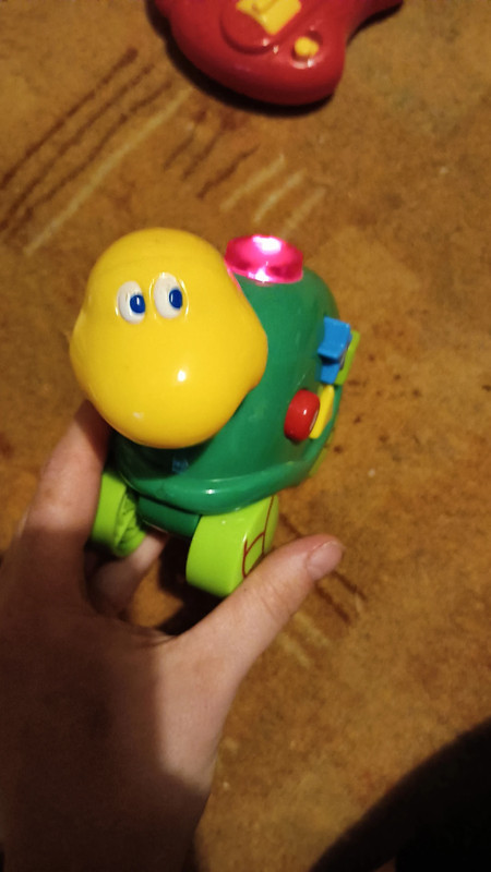 Želvička na kolečkách, 