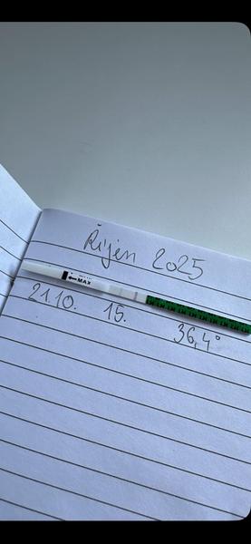 Jsem těhotná nebo jde o něco jiného?