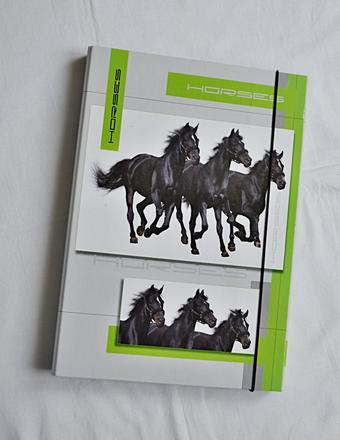 Desky na sešity a4, 