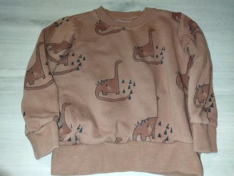 Hnědá mikina s dinosaury 110 next, next,110