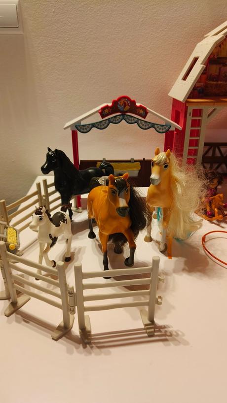 Stáje divoký spirit,