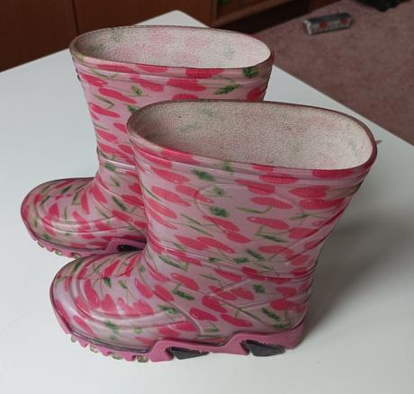 Holínky srdce, demar,26