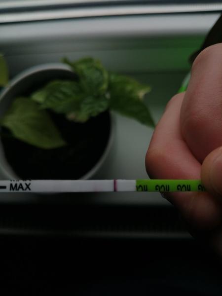 Příznaky těhotenství: Jak je rozpoznat?