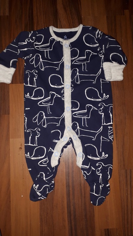 Overal s pejsky 56 next, next,56