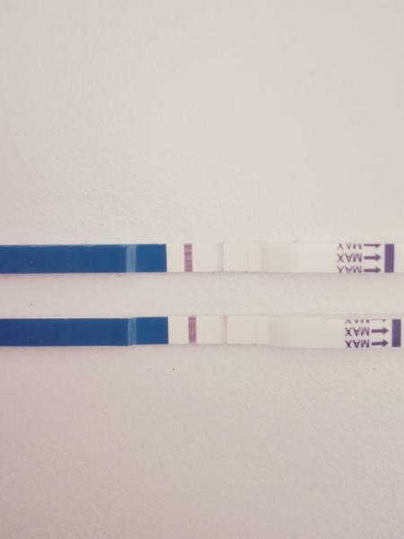 Duch na testu, nevolnosti