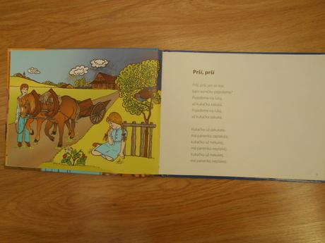 Kniha s písničkami,