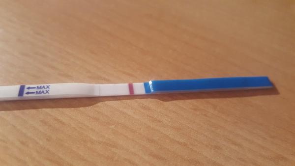 Je tam čárka nebo ne?