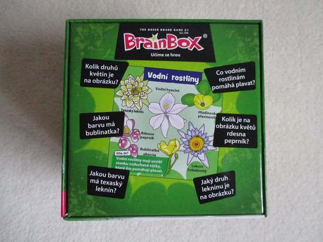 Albi brainbox v kostce příroda, 