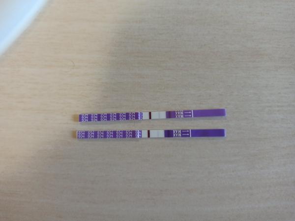 Může být těhotenský test falešně negativní? Zkušenosti uživatelek