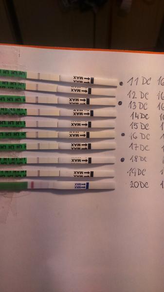 Co myslíte, mám testovat dál?
