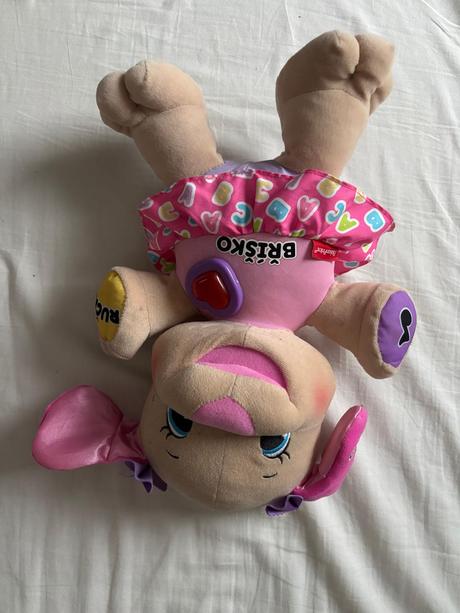 Plyšový mluvící pejsek, 