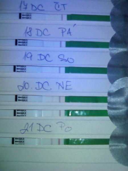 Bude z toho něco? Ovu test