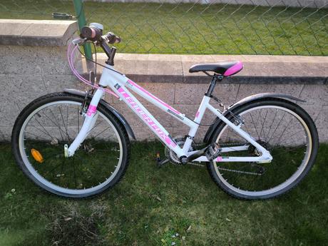 Kolo leader fox 24', 24