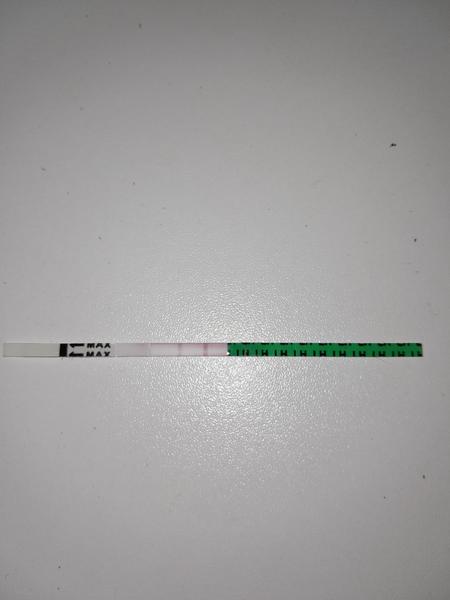 Jak poznat pozitivní výsledek ovulačního testu?