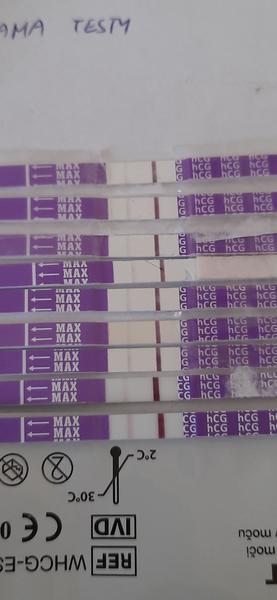 Jak dlouho trvá odbourání Ovitrelle po transferu?