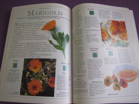 Cottage garden herbs by jekka mcvicar, 