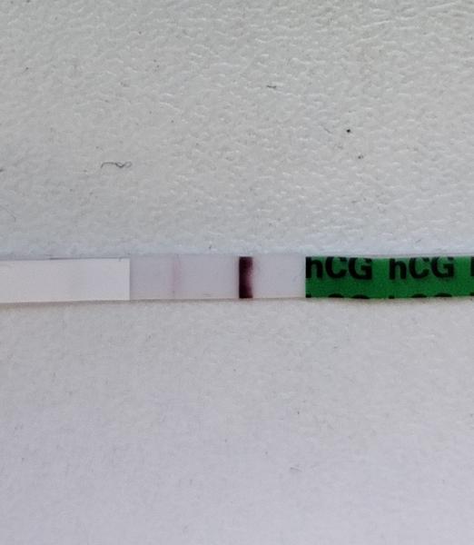 Může výsledek Pepino TT s odpolední močí klamat?