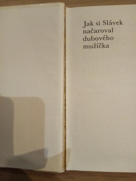 Knížka jak si slávěk načaroval dubového mužíčka, 