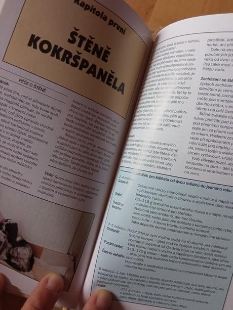 Kniha kokršpanělé,