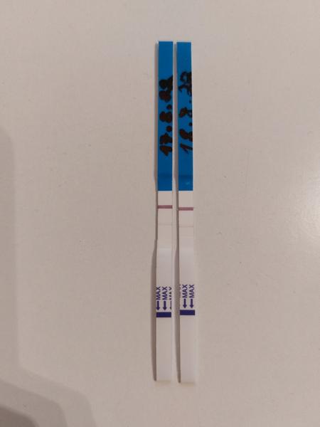 Může být podezření na těhotenství po ovulaci správné?