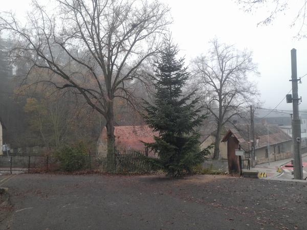 Vánoční strom v Kamenném Přívoze