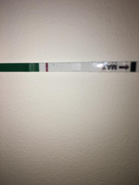 Vidí někdo ducha, nebo jsem blázen? Diskuse o duchovi.