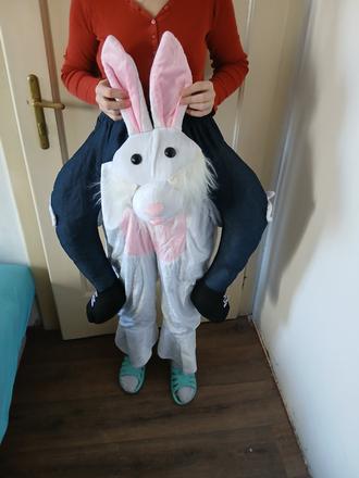 Kostým na karneval,