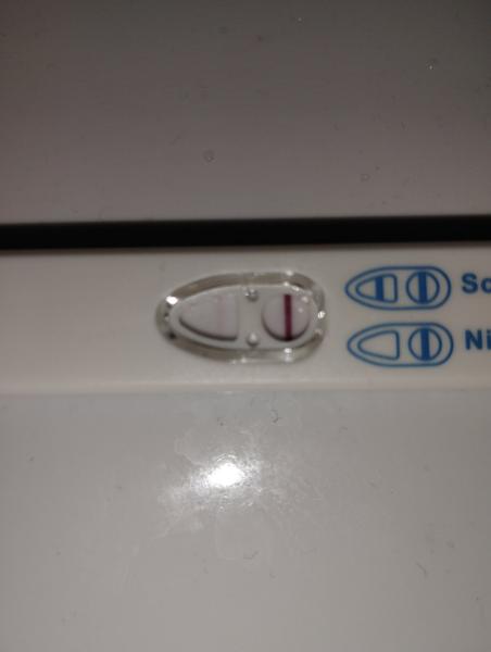 Objevila se slabá druhá čárka na těhotenském testu. Co to znamená?