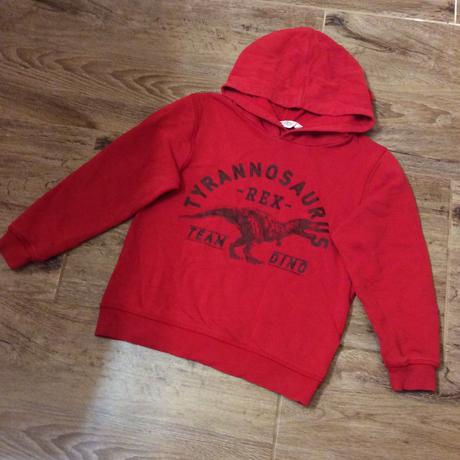 Mikina s dinosaurem zn. h&m, h&m,110