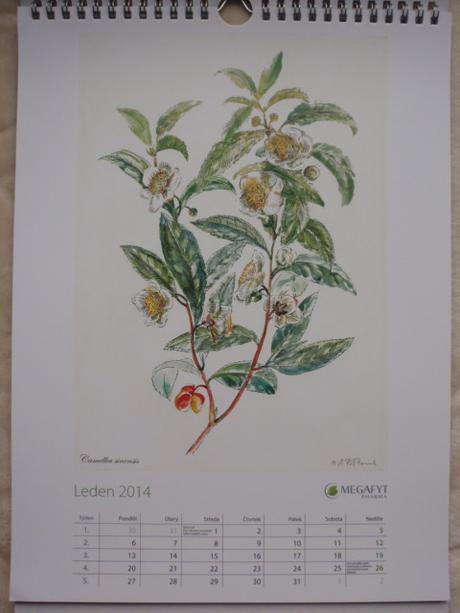 Kalendář nástěnný-na stěnu 2014, 