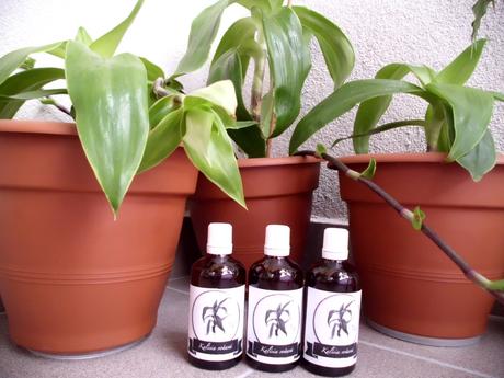 Kalísia voňavá tinktúra -extra silná-60 per. lieh, 