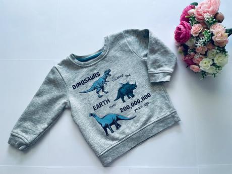 Mikina s dino - v.86, st. bernard,86