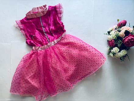 An27/ kostým paw patrol - v.3/4 roky,